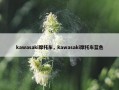 kawasaki摩托车，kawasaki摩托车蓝色