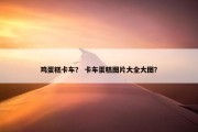 鸡蛋糕卡车？ 卡车蛋糕图片大全大图？