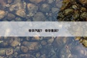 帝华汽配？ 帝华集团？
