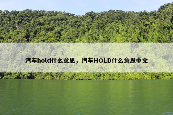 汽车hold什么意思，汽车HOLD什么意思中文