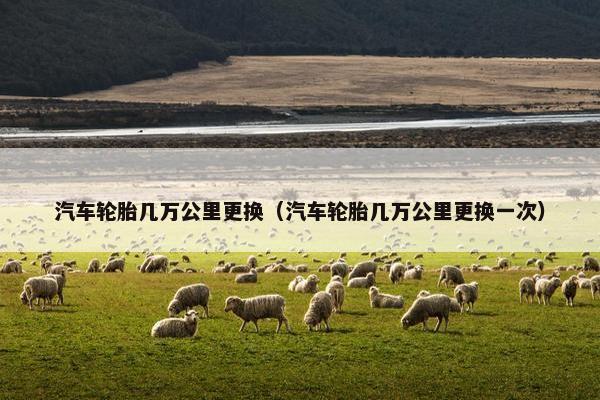 汽车轮胎几万公里更换（汽车轮胎几万公里更换一次）