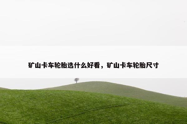 矿山卡车轮胎选什么好看，矿山卡车轮胎尺寸