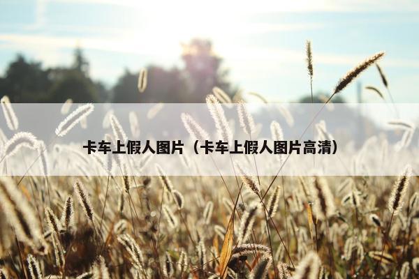 卡车上假人图片（卡车上假人图片高清）