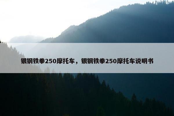 银钢铁拳250摩托车，银钢铁拳250摩托车说明书
