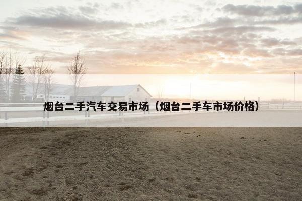 烟台二手汽车交易市场（烟台二手车市场价格）
