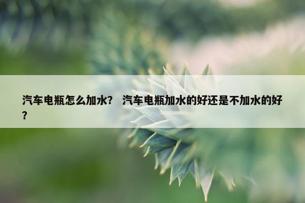 汽车电瓶怎么加水？ 汽车电瓶加水的好还是不加水的好？