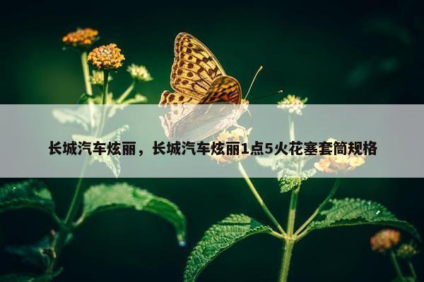 长城汽车炫丽，长城汽车炫丽1点5火花塞套筒规格