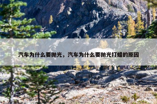 汽车为什么要抛光，汽车为什么要抛光打蜡的原因