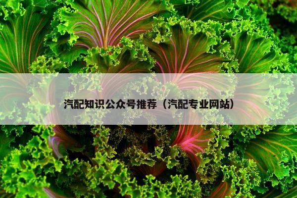 汽配知识公众号推荐（汽配专业网站）