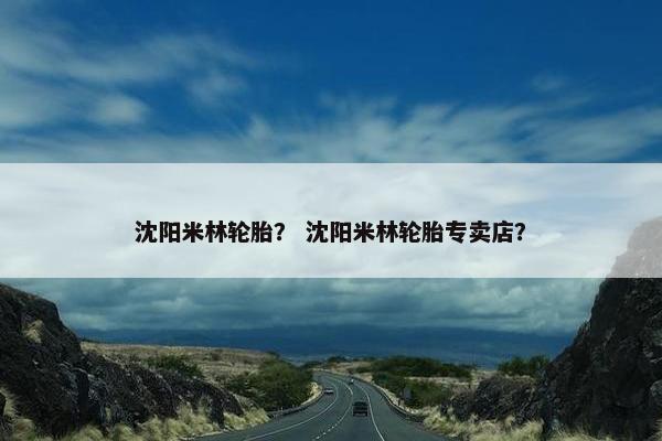 沈阳米林轮胎？ 沈阳米林轮胎专卖店？
