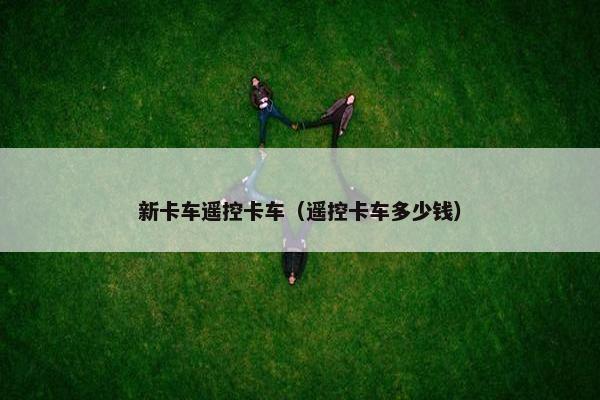 新卡车遥控卡车（遥控卡车多少钱）