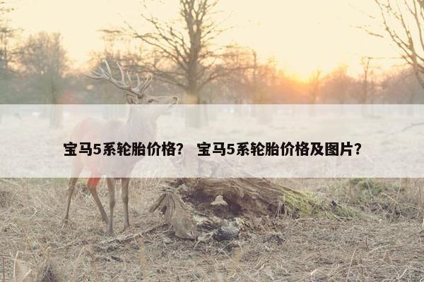 宝马5系轮胎价格？ 宝马5系轮胎价格及图片？