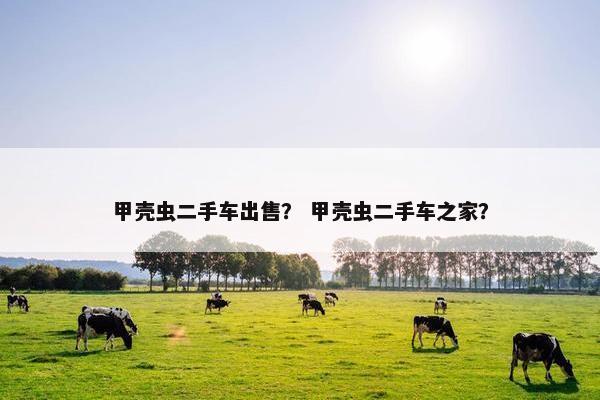 甲壳虫二手车出售？ 甲壳虫二手车之家？
