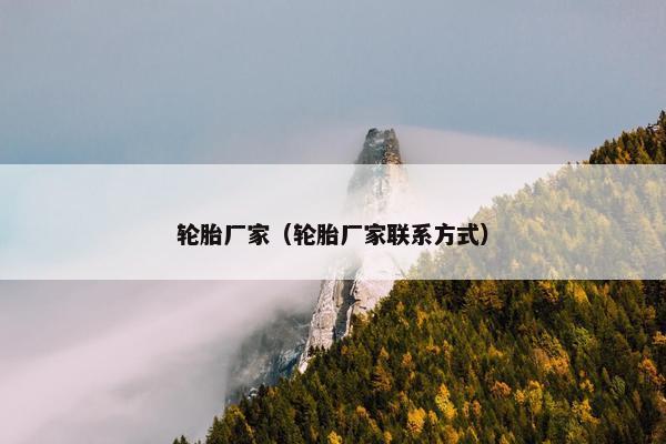 轮胎厂家（轮胎厂家联系方式）