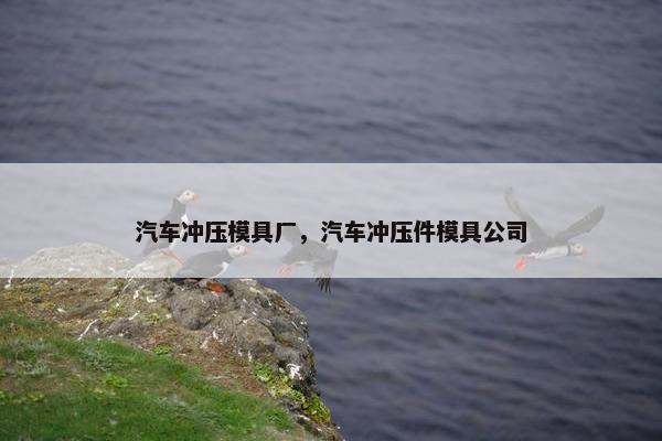 汽车冲压模具厂，汽车冲压件模具公司
