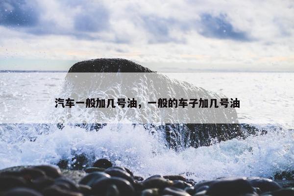 汽车一般加几号油，一般的车子加几号油