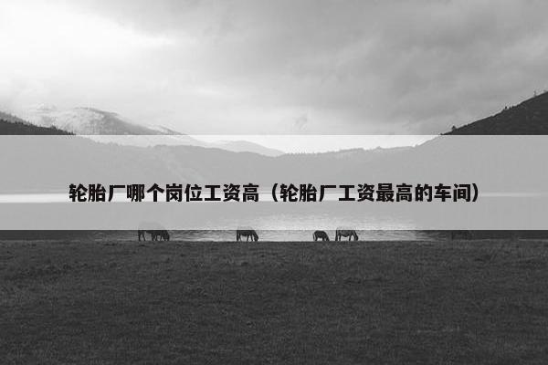 轮胎厂哪个岗位工资高（轮胎厂工资最高的车间）