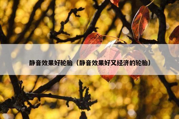 静音效果好轮胎（静音效果好又经济的轮胎）