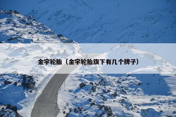 金宇轮胎（金宇轮胎旗下有几个牌子）