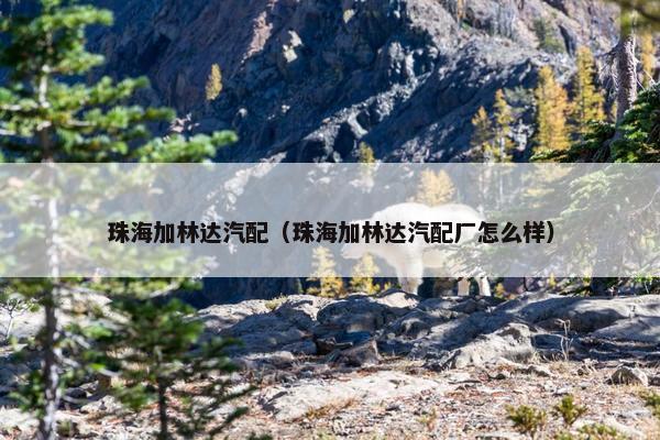 珠海加林达汽配（珠海加林达汽配厂怎么样）