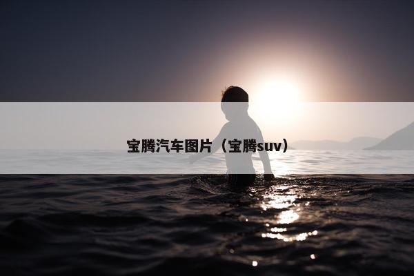 宝腾汽车图片（宝腾suv）