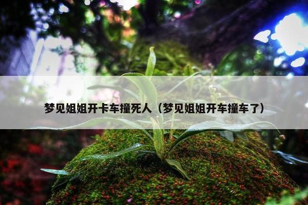 梦见姐姐开卡车撞死人（梦见姐姐开车撞车了）