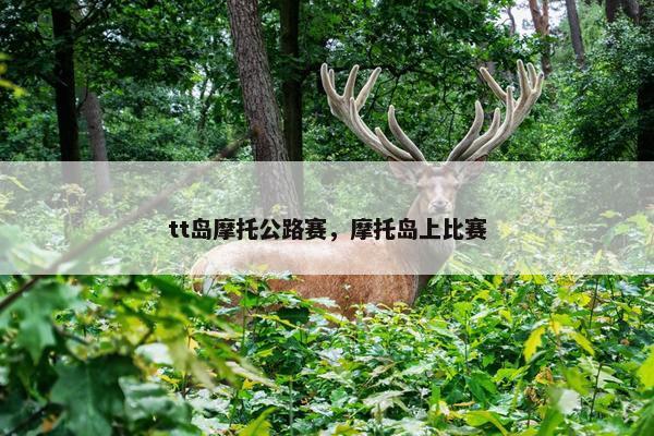 tt岛摩托公路赛，摩托岛上比赛