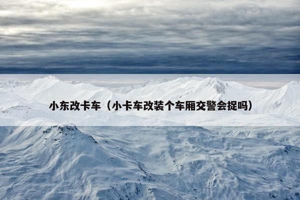 小东改卡车（小卡车改装个车厢交警会捉吗）