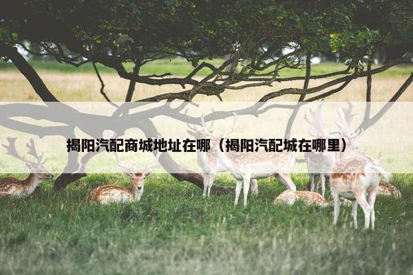 揭阳汽配商城地址在哪（揭阳汽配城在哪里）