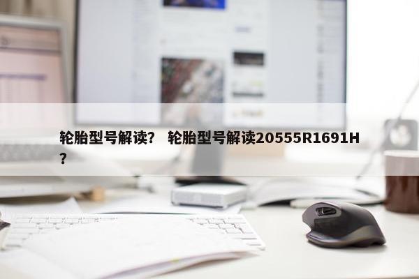 轮胎型号解读？ 轮胎型号解读20555R1691H？