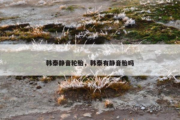 韩泰静音轮胎，韩泰有静音胎吗