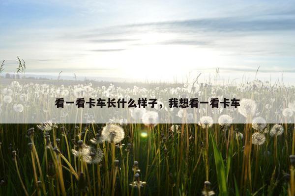 看一看卡车长什么样子，我想看一看卡车