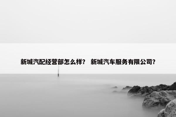 新城汽配经营部怎么样？ 新城汽车服务有限公司？