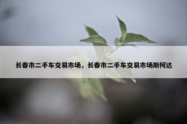 长春市二手车交易市场，长春市二手车交易市场斯柯达