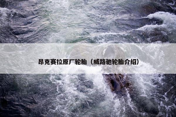 昂克赛拉原厂轮胎（威路驰轮胎介绍）