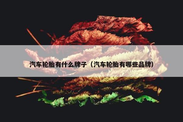 汽车轮胎有什么牌子（汽车轮胎有哪些品牌）