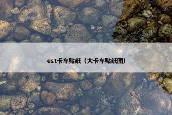 est卡车贴纸（大卡车贴纸图）