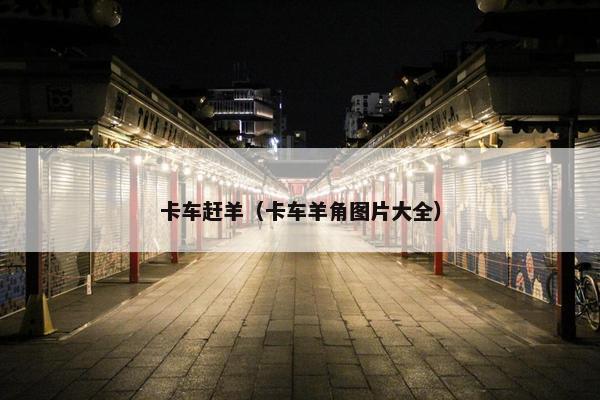卡车赶羊（卡车羊角图片大全）