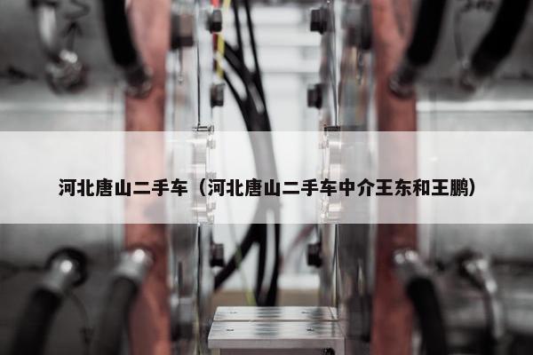 河北唐山二手车（河北唐山二手车中介王东和王鹏）