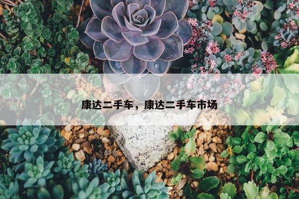 康达二手车，康达二手车市场