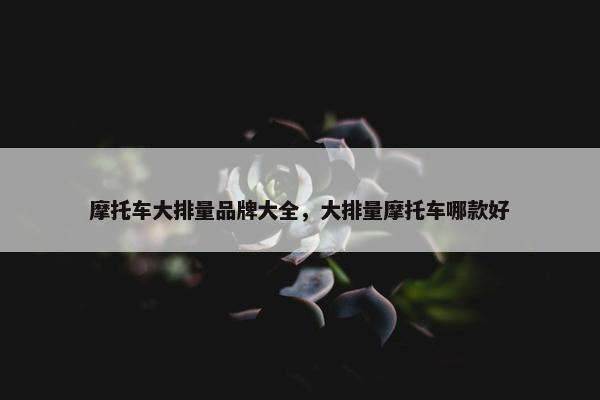 摩托车大排量品牌大全，大排量摩托车哪款好