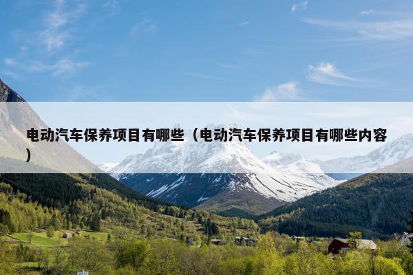 电动汽车保养项目有哪些（电动汽车保养项目有哪些内容）