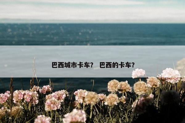 巴西城市卡车？ 巴西的卡车？