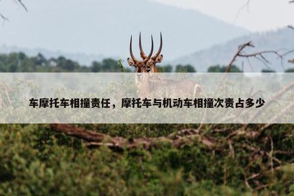 车摩托车相撞责任，摩托车与机动车相撞次责占多少