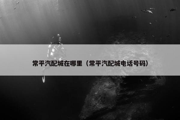 常平汽配城在哪里（常平汽配城电话号码）