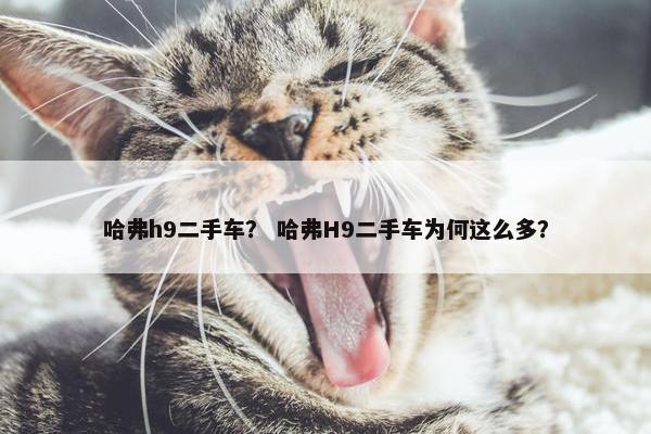 哈弗h9二手车？ 哈弗H9二手车为何这么多？