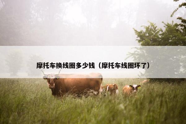 摩托车换线圈多少钱（摩托车线圈坏了）