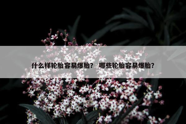 什么样轮胎容易爆胎？ 哪些轮胎容易爆胎？
