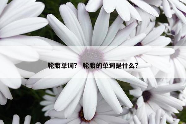 轮胎单词？ 轮胎的单词是什么？