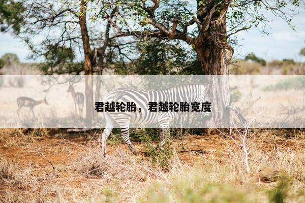 君越轮胎，君越轮胎宽度